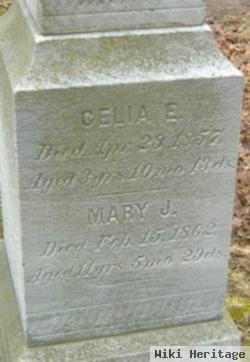 Celia E. Ranney