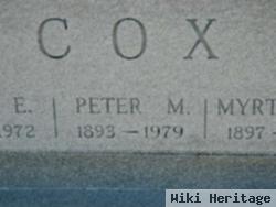 Peter M Cox