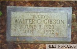 Walter G. "buddy" Gibson