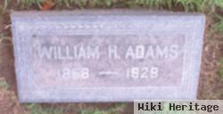 William H Adams