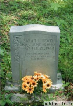 Sarah Elizabeth "sallie" Lewing Lewis