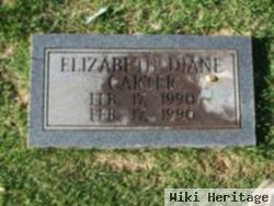 Elizabeth Diane Carter