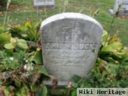 Ann M Buck