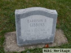 Harrison Gibbons