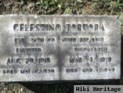 Celestino Tortora