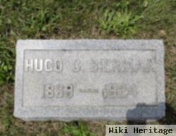 Hugo Carl Bierman