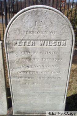 Peter Wilson