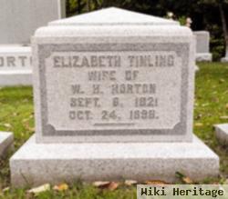 Elizabeth Tinling Horton