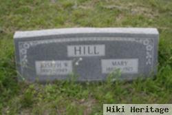 Mary Ziacek Hill