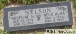 Nels Alma Nelson