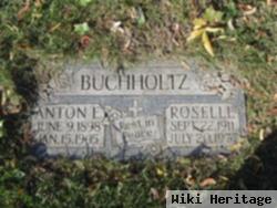 Anton Edward Buchholtz