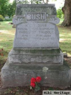 Hiram Bush