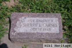 Sherry L Carnes