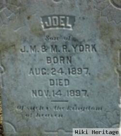 Robert Joel York