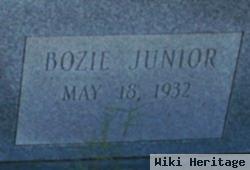 Bozie Julius "junior" Vinson