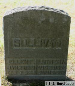 Luther M. Sullivan