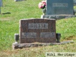 David Seeley Wiltse