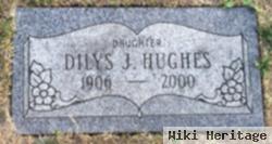 Dilys J Hughes