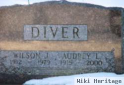 Wilson J Diver