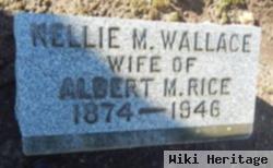 Nellie M Wallace Rice