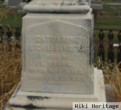 Catharine Eichelberger Young