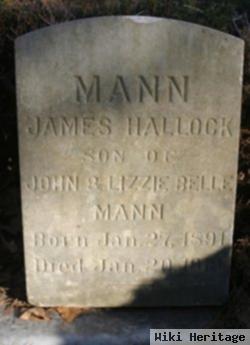 James Hallock Mann