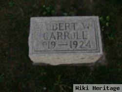 Robert W Carroll