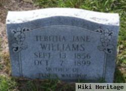 Tebitha Jane Mcmillan Williams