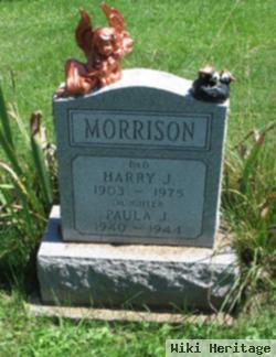 Henry James "harry" Morrison