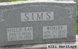 Hallie Ray Shewmaker Sims