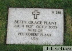 Betty Grace Plant