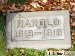 Harold Brown