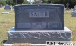 Robert L Sauer