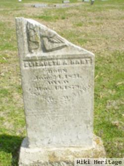 Elizabeth A. Hart