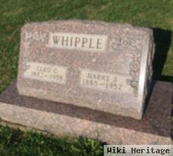 Harry S Whipple