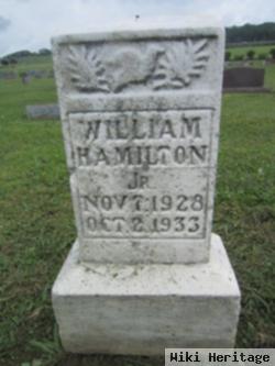 William Hamilton, Jr