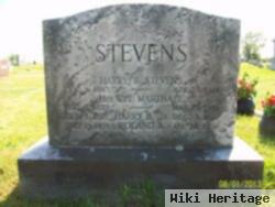 Harry B Stevens, Jr