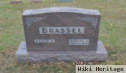 Daniel J Brassel