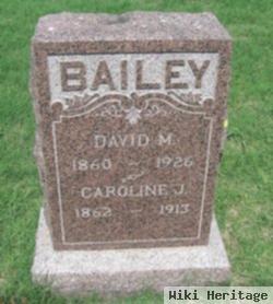 David M. Bailey