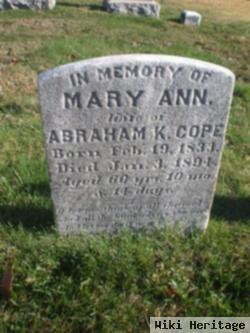 Mary Ann Lewis Cope