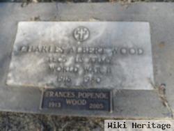 Charles Albert Wood