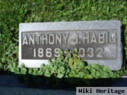 Anthony J. Habig