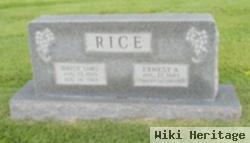 Daisy Sims Rice