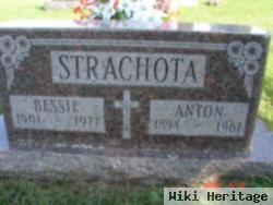 Anton Strachota