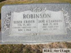 Jane Ann Lamborn Robinson