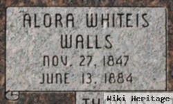 Ellora Minerva Whiteis Wall Studley