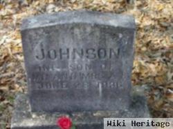 Infant Son Johnson