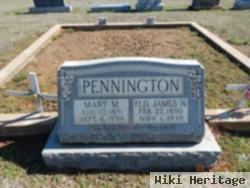 Rev James Newton Pennington