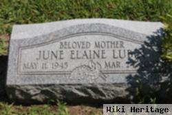 June Elaine Lubin