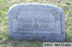 Brazil Woolley